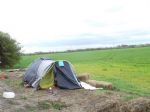 Barton Moss Camp Cleans Up